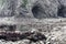 Jagged Stone Beach with Rocks and Caves