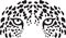 Jaguar eyes icon black and white