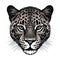 Jaguar Face Sticker On Isolated Tansparent Background, Png, Logo. Generative AI