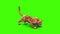 Jaguar Feline Attacks Side Green Screen Animals 3D Rendering Animation