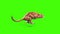 Jaguar Feline Runcycle Side Green Screen Animals 3D Rendering Animation