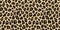 Jaguar, leopard print. Vector seamless pattern. Realistic animal skin background