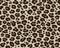 Jaguar leopard Skin repeating seamless Pattern. Animal Print for Textile Design