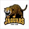 Jaguar mascot - emblem for sport team