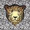 Jaguar Seamless Pattern or Leopard Fur Texture