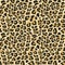 Jaguar skin seamless pattern vector illustration for fashion textile print and wrapping.
