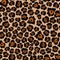 Jaguar skin vector patterm