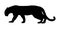 Jaguar vector illustration black silhouette