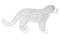 Jaguar vector illustration for coloring page