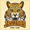 Jaguars - Sport Team Design
