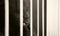 Jailed african american black man rubbing his chin behind bars