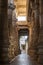 Jain Ranakpur Temple, Udaipur, Rajasthan, India