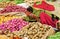 Jaipur, India - December 2011: Local Indian woman sells vegetables in a street market