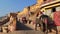 Jaipur, India - December, 2022: Elephants in Amber Fort, famous UNESCO World Heritage Site, Jaipur, Rajasthan state