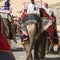 JAIPUR, INDIA - SEPTEMBER 18, 2017: Unidentified men ride decorated elephants in Jaleb Chowk in Amber Fort in Jaipur, India.