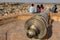 Jaisalmer fort canon