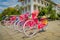 JAKARTA, INDONESIA: Row of pink bicycles with matching hats parked in front of Jakarta history museum on a beautiful