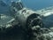 Jake Seaplane Wreck Sits on Ocean Floor with Diver Swimming by