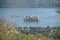 Jal Mahal, Jaipur