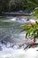 Jamaica. Dunn\'s River waterfalls