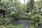 Jamaica Konoko falls park rainforest and river