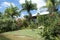Jamaica`s Residential House Lush Garden