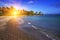 Jamaica. Sandy coast of a bay and palm tree