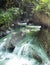 Jamaica. The small river waterfal