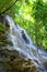 Jamaica. Small waterfalls in the jungle