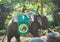 JAMBI, INDONESIA - NOVEMBER 2017 : Child and his father enjoy riding a Sumatran elephant at zoo in jambi