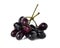 Jambolan plum or Java plum with stem on white