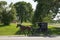 Jamesport Missouri Amish horse and buggy