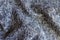 Jammed blue grey melange woolen fabric