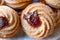 Jammie Dodgers Biscuits / Cookies Filled with Jam.