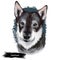 Jamthund, Swedish Elkhound, Swedish Moosehound dog digital art illustration isolated on white background. Sweden origin northern