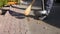 Janitor sweeping leaves on the sidewalk Broom cleans the paving slabs in a scoop