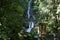 January 1, 2020. Xilitla, San Luis PotosÃ­, Mexico. Panoramic view of the pools Las Pozas, Architecture in a surreal garden