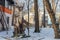 January 20, 2021 Beltsy, Moldova deer monument. Illustrative editorial