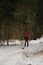 January 24, 2023 Moscow Russia. Running with dog for endurance. Young woman on skis runs along snowy winter forest road