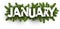 January banner with fir branches.