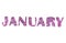 January, name of the winter month of purple glitter isolated on white background