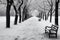 Januarys desolation trees in a haunting, snow covered, black and white landscape