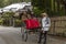 Japan, Arashiyama, 04/06/2017. Japanese couple in a wagon