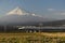 Japan Bullet Train and Mount Fuji in the Background