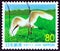 JAPAN - CIRCA 1999: A stamp printed in Japan shows Kin, the last native Crested ibis Nipponia nippon, circa 1999.