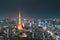 Japan cityscape at dusk. Landscape of Tokyo business building around Tokyo tower. Modern high building in business district area