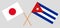 Japan and Cuba. The Japanese and Cuban flags. Official colors. Correct proportion. Vector