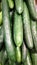 japan cucumber is rare vegetable indonesia and have special caracteriatic rough of skin