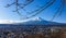 Japan - Distant view on Mt Fuji
