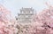 Japan Himeji castle , White Heron Castle in beautiful sakura che